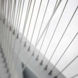 The Breathing Bridge