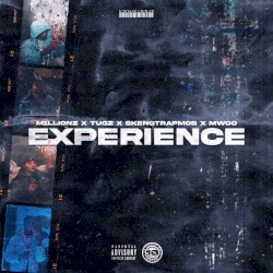 Experience