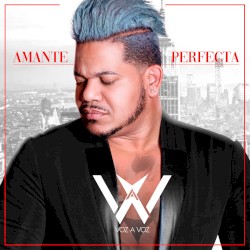 Amante perfecta