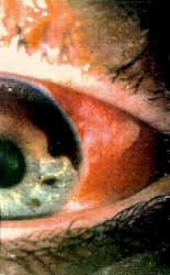 Love Can’t Buy Happiness