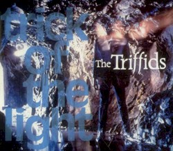 Trick of the Light