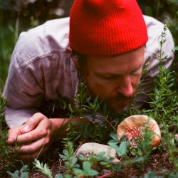 Forest Standards Vol. 4