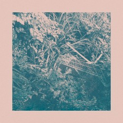 Walk in the Forest Acid