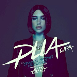 Swan Song (acoustic)