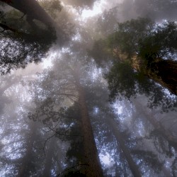 Use Your Intuitive Power