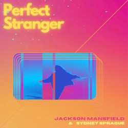 Perfect Stranger