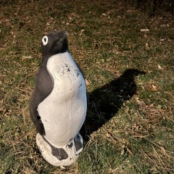 Alan Sparhawk Solo Band