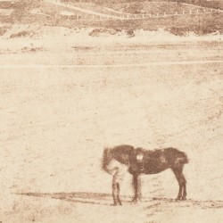 Wild Works Volume 14