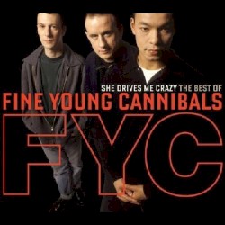 She Drives Me Crazy: The Best Of