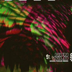 Run Wild (Manic Focus remix)