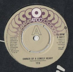 Owner of a Lonely Heart
