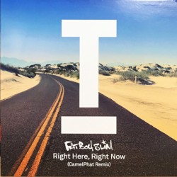 Right Here, Right Now (CamelPhat remix)