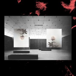 Lucid in a Concrete Hall