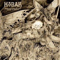 Ningún muro consiguió jamás contener la primavera