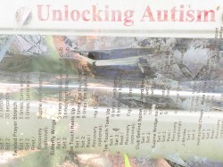 Freeroam 152 :: Real-Light Relations From the Second Meeting Which Now Achieved Near Doubleweek Transcendence XX -- "idle cinnamontography"