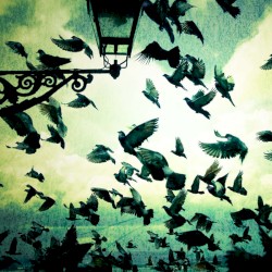 With Our Arms Wide Open We March Towards the Burning Sea