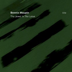 The Jewel in the Lotus