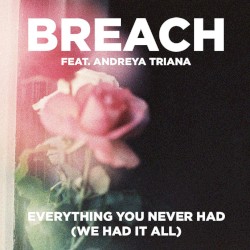 Everything You Never Had (We Had It All)