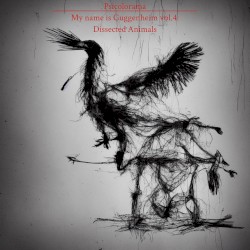 My name is Guggenheim vol 4: Dissected Animals