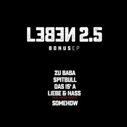 Leben 2.5 Bonus EP