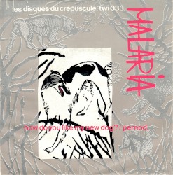 How Do You Like My New Dog? / Pernod.