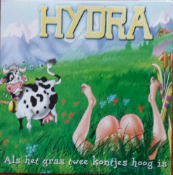 Oranje is de kleur