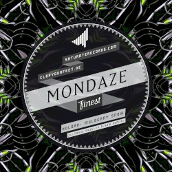 Mulberry Snow (Dj Pound swollen elbow remix)