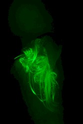 2007‐07‐14: Custard Factory, Birmingham, UK