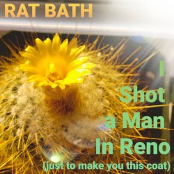 I Shot a Man in Reno (Just to Make You This Coat)