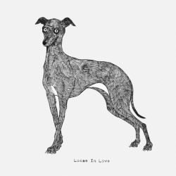 Use Your Illusion 3 & 4