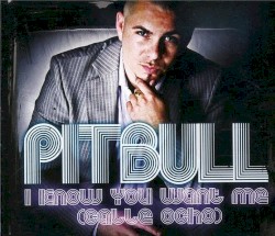 I Know You Want Me (Calle Ocho)