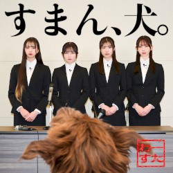 すまん、犬。