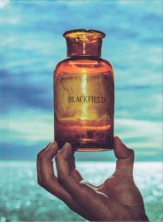 Blackfield V