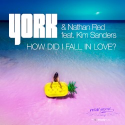 How Did I Fall In Love ?