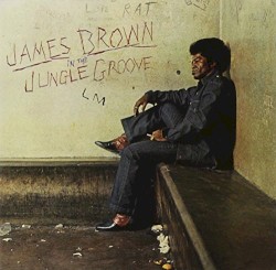 In the Jungle Groove