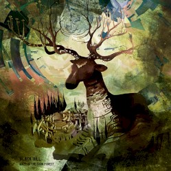 Maze in the Dark Forest