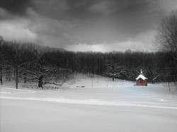 Pause Play (Memoirs of Russian Spiritual Landscapes, Aug 2016)