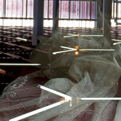 たとえそれが暗い未来だったとしても