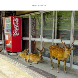 Peau froide, léger soleil