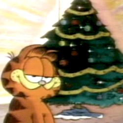 Confusing Holidays