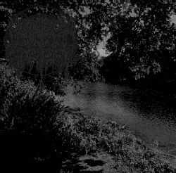 River of the Black Forest