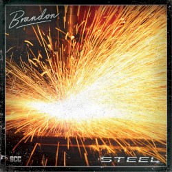 Steel