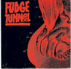Fudge Tunnel