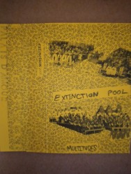 Multitudes