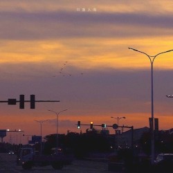 日落人海