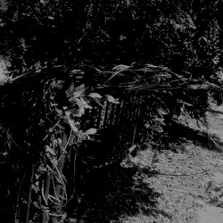 Tears for Your Escape