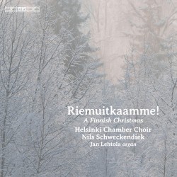 Riemuitkaamme! A Finnish Christmas