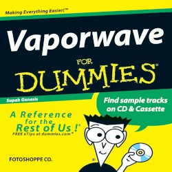 Vaporwave for Dummies