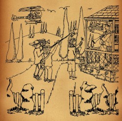 Greendale Live at Vicar St.