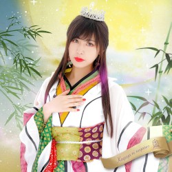 輝夜に願いを
